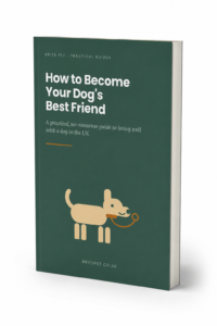 UK dog training guide - 86-page illustrated PDF standing upright on a white background