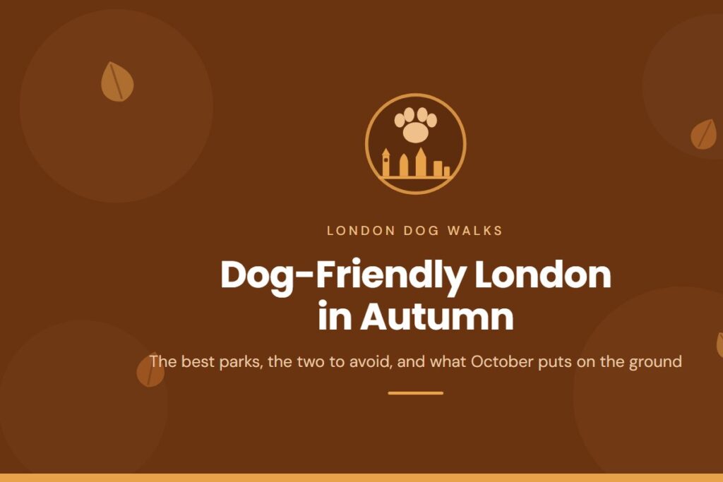 Dog-friendly London parks in autumn: a paw above the London skyline