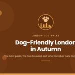 Dog-friendly London parks in autumn: a paw above the London skyline