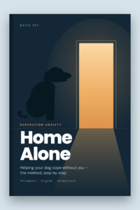 Home Alone ebook cover: a dog sitting in a dark room facing a lit doorway