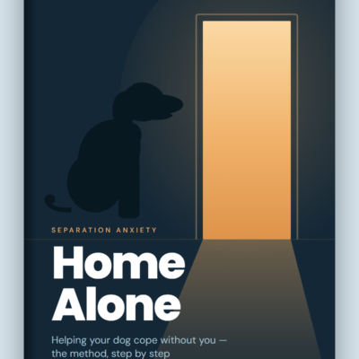 Home Alone ebook cover: a dog sitting in a dark room facing a lit doorway