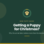Gold paw inside a wreath on deep green, above the words Getting a Puppy for Christmas