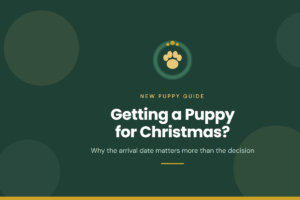 Gold paw inside a wreath on deep green, above the words Getting a Puppy for Christmas