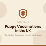 Brits Pet shield and paw emblem above the words Puppy Vaccinations in the UK