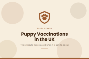 Brits Pet shield and paw emblem above the words Puppy Vaccinations in the UK